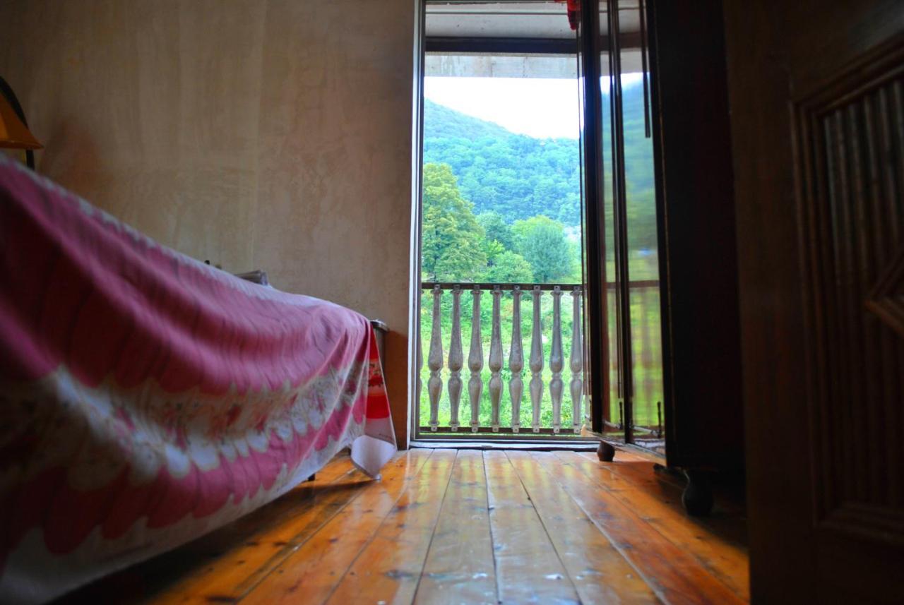 Discover Kinchkha Satsiskvilo Cameră foto