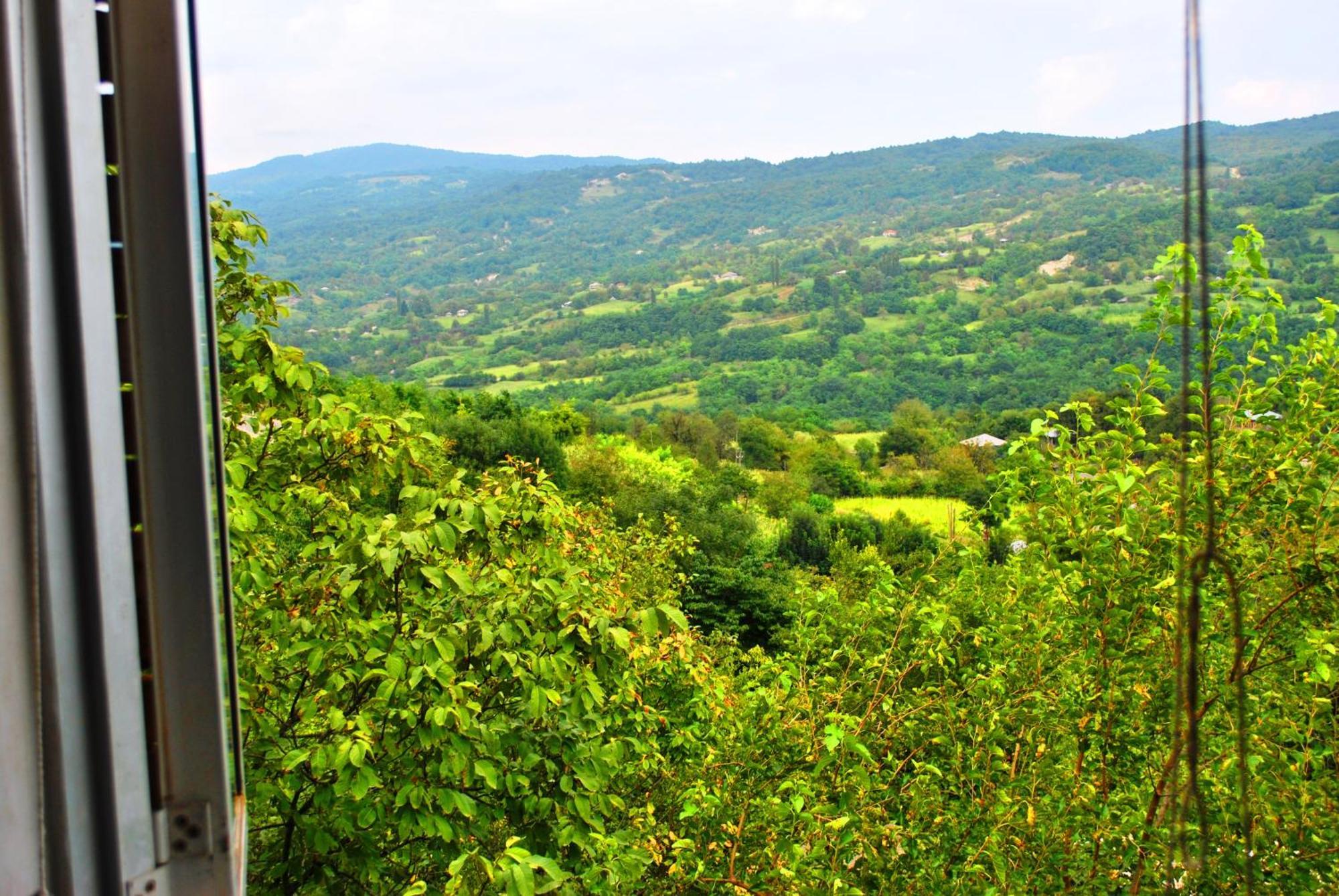 Discover Kinchkha Satsiskvilo Cameră foto